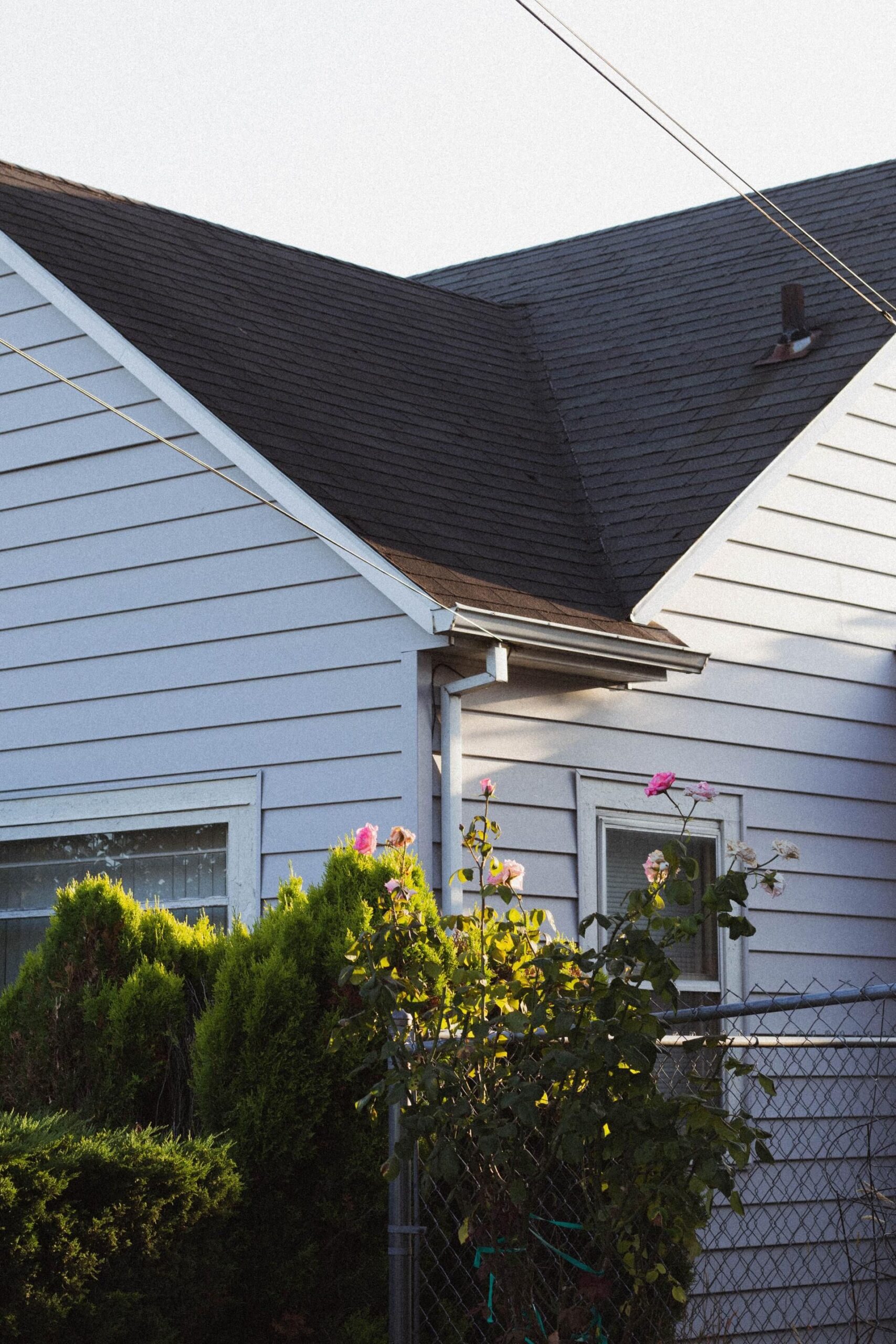 A suburban house with light blue siding and dark gray roof, with a flowering rose bush and green bushes in the foreground, and chain-link fence